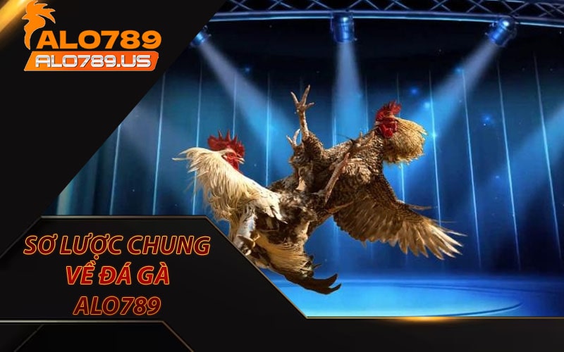 Sơ lược chung về trường đá gà alo789 